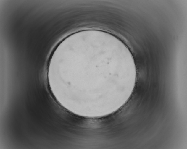 X0000096711514200802191458