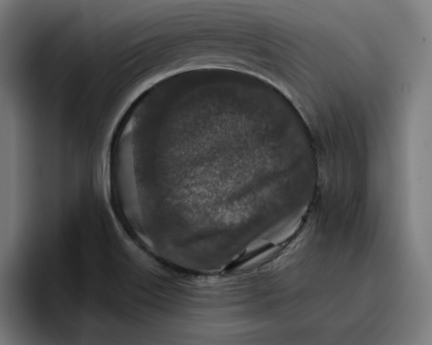 X0000096711515200802191458