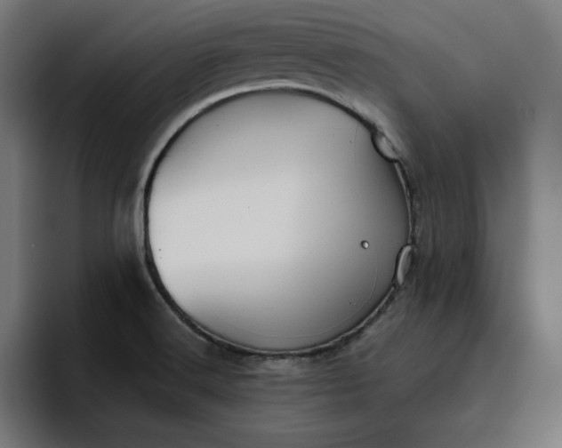 X0000096711516200802191458