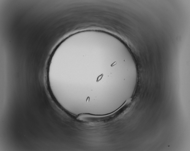 X0000096711518200802191458