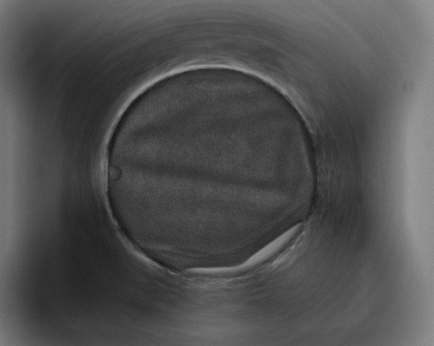 X0000096711519200802191458