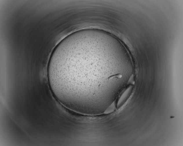 X0000096711521200802191458