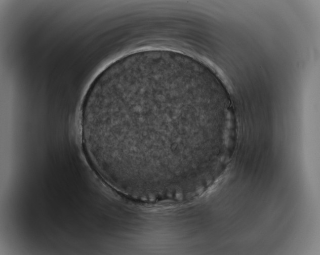 X0000096711522200802191458