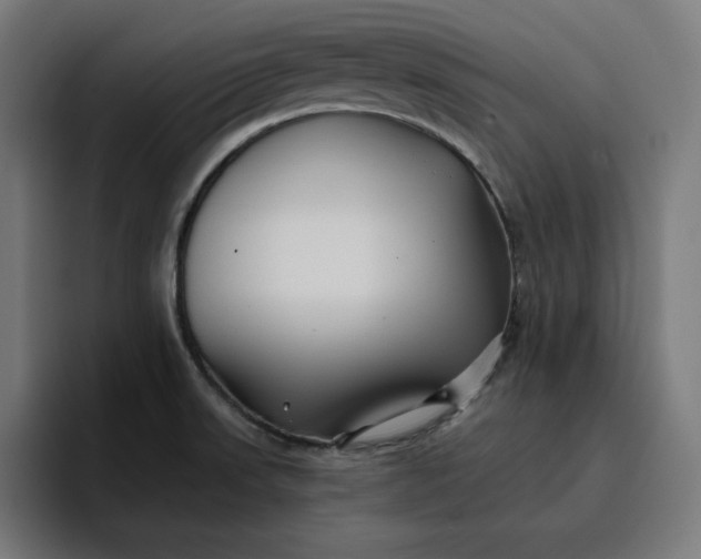 X0000096711523200802191458