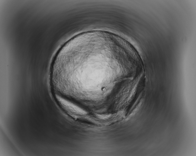 X0000096711525200802191458