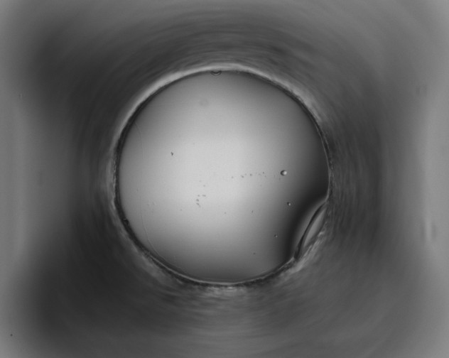 X0000096711526200802191458