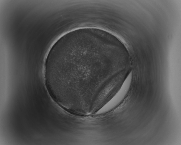 X0000096711527200802191458