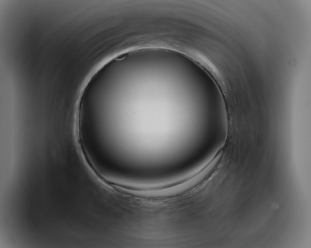 X0000096711528200802191458