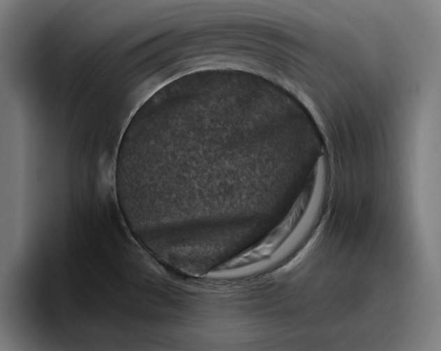 X0000096711529200802191458