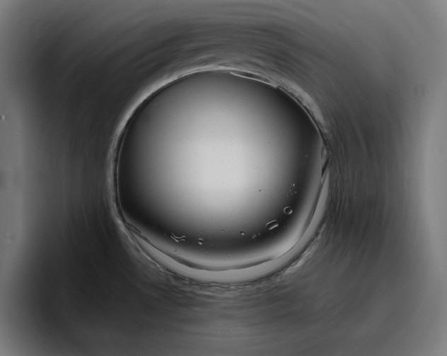 X0000096711530200802191458