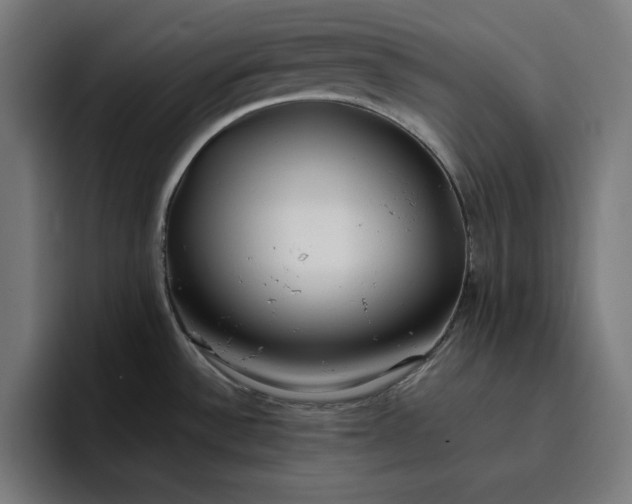 X0000096711532200802191458