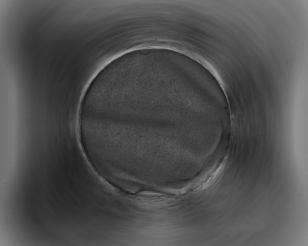 X0000096711533200802191458