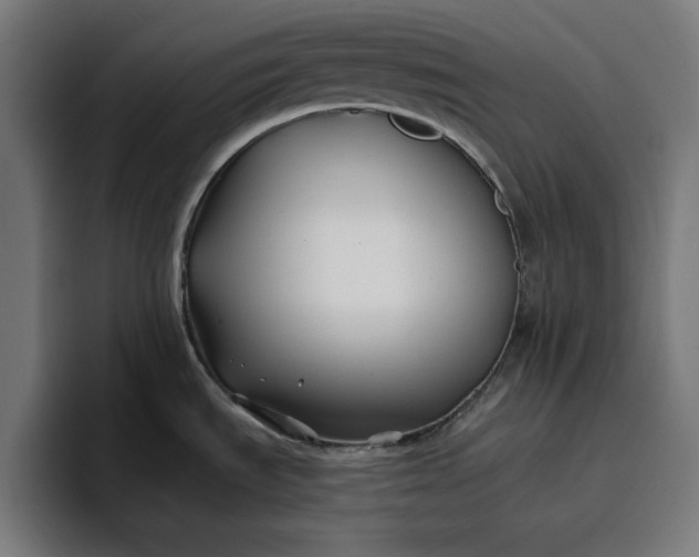 X0000096711535200802191458