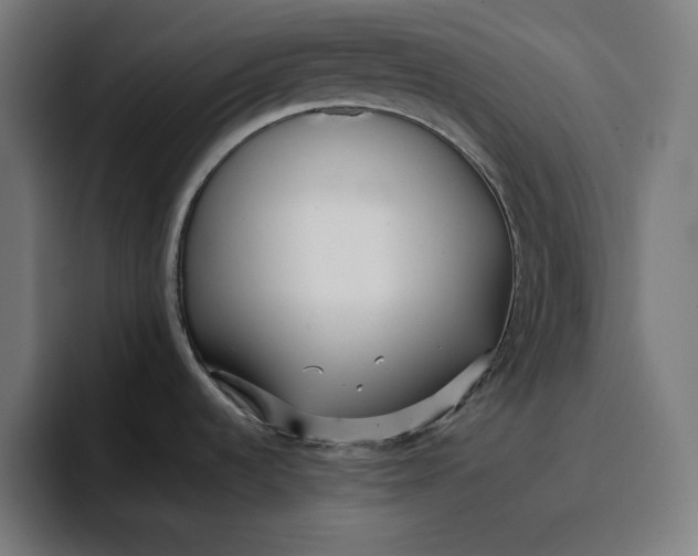 X0000096711536200802191458