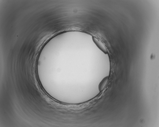 X0000096710001200802261640