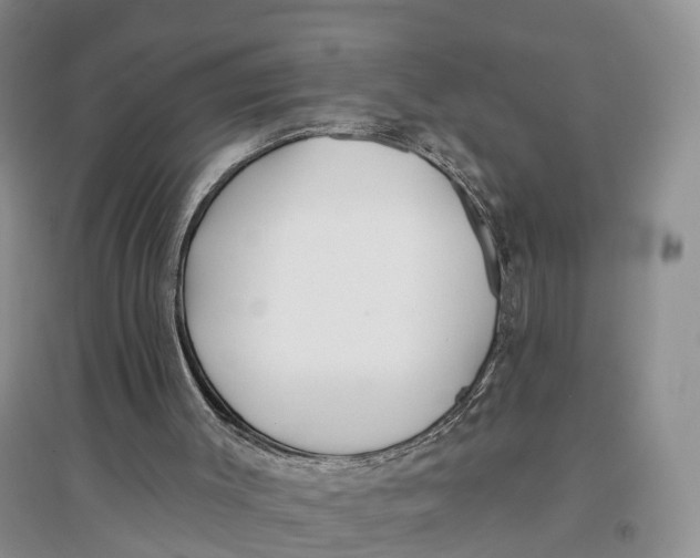 X0000096710003200802261640