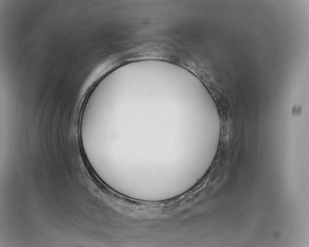 X0000096710004200802261640