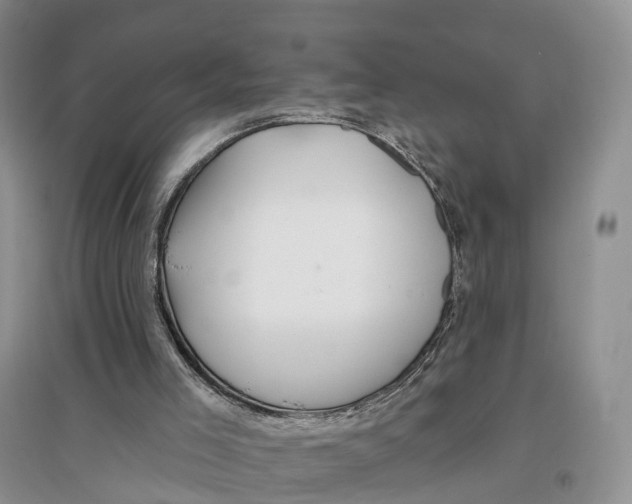 X0000096710005200802261640