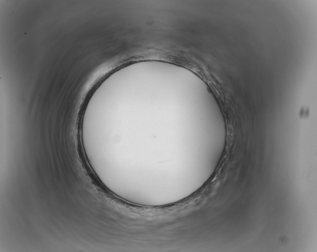 X0000096710006200802261640