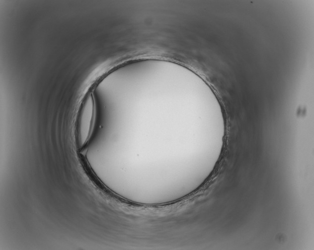 X0000096710007200802261640