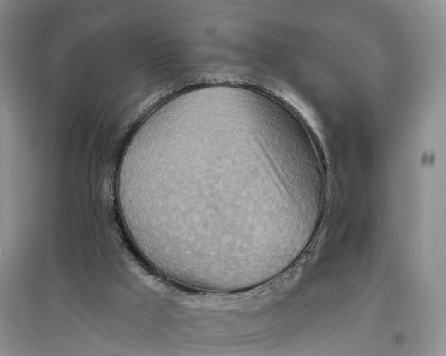 X0000096710009200802261640