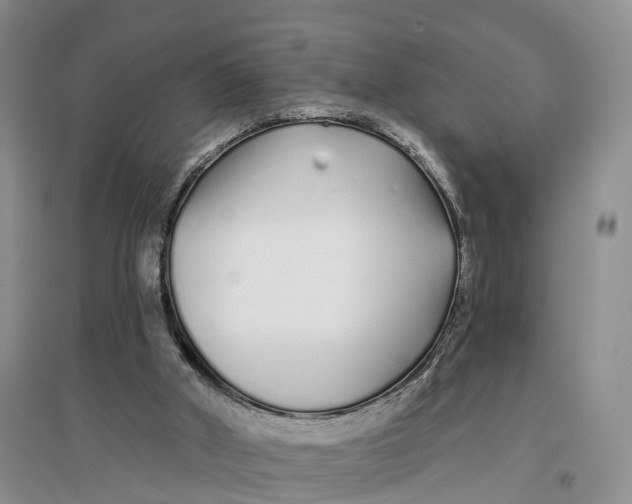 X0000096710010200802261640