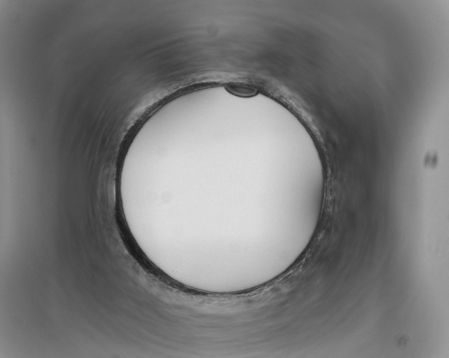 X0000096710011200802261640