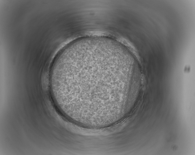 X0000096710012200802261640