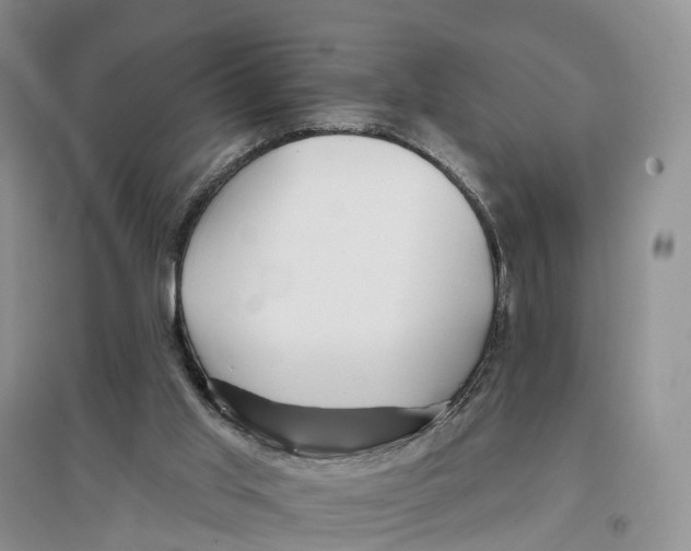 X0000096710013200802261640