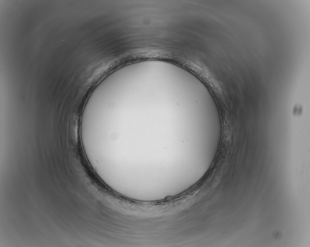 X0000096710014200802261640