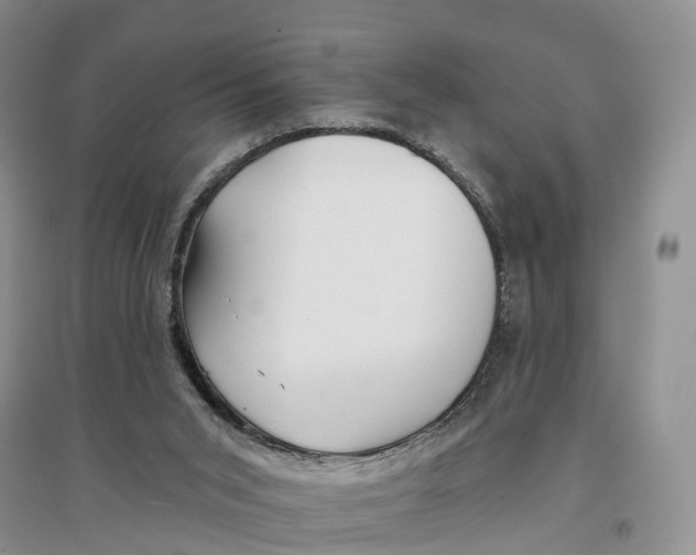 X0000096710015200802261640