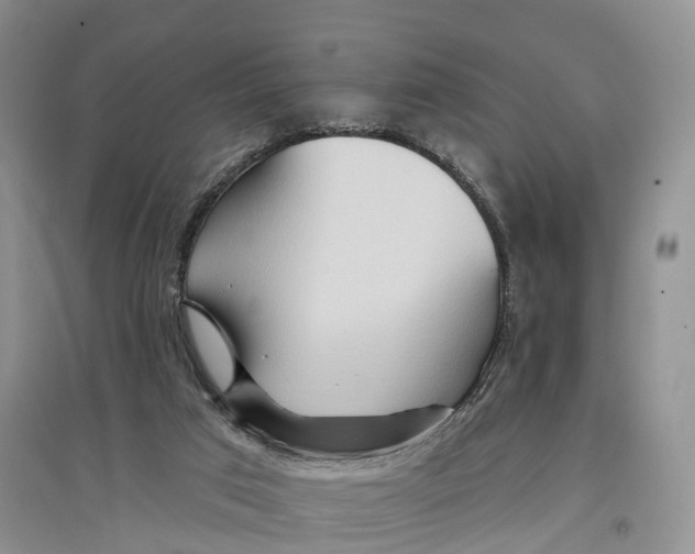 X0000096710017200802261640