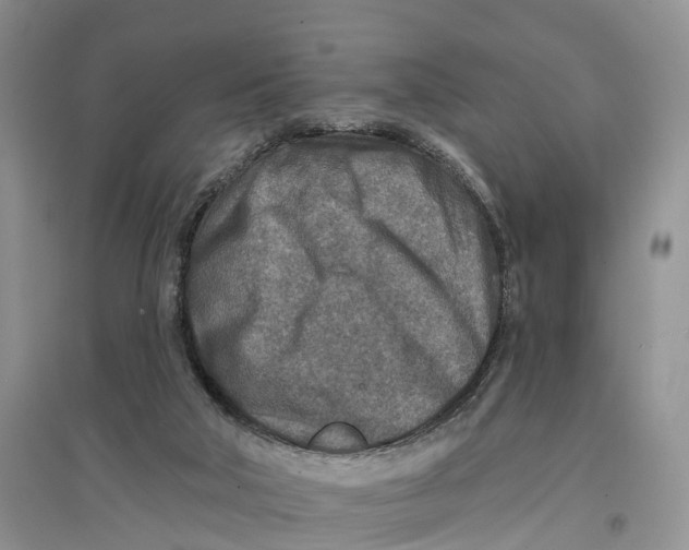 X0000096710018200802261640