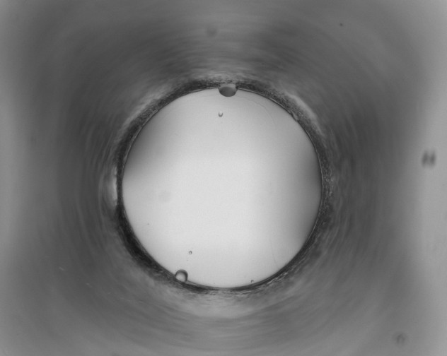 X0000096710020200802261640