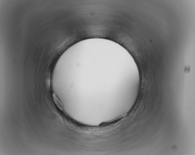 X0000096710021200802261640