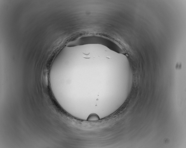 X0000096710022200802261640