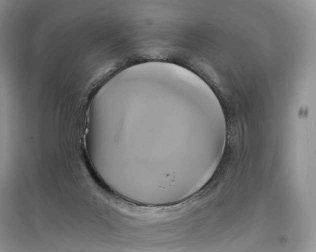 X0000096710023200802261640