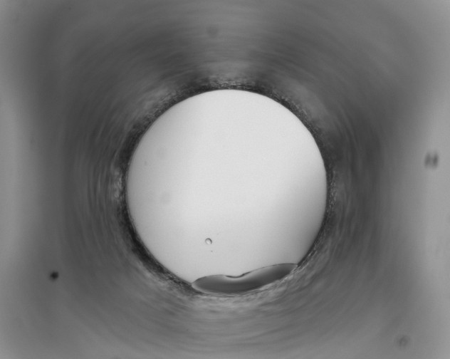 X0000096710025200802261640