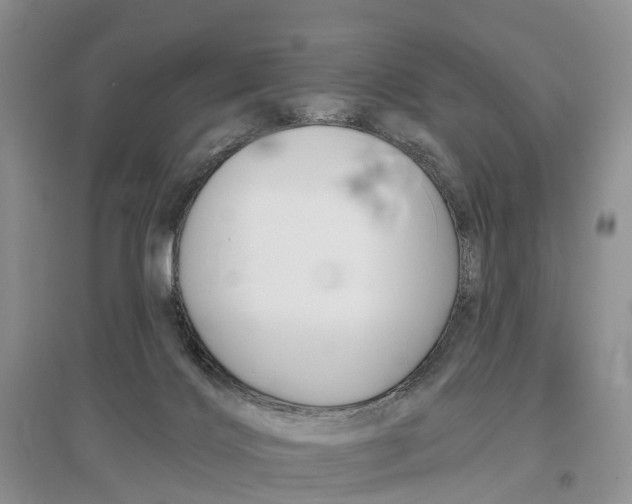 X0000096710028200802261640