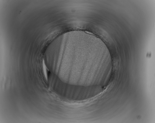 X0000096710029200802261640