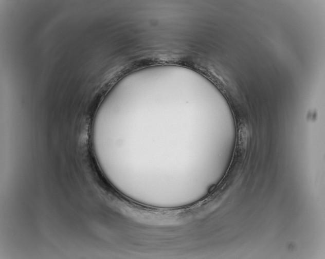 X0000096710032200802261640