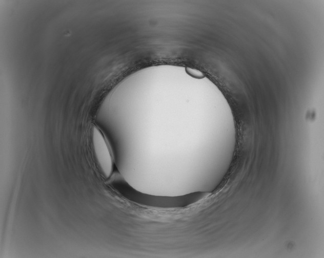 X0000096710033200802261640