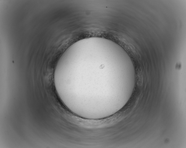 X0000096710034200802261640