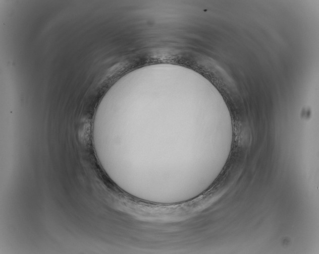 X0000096710036200802261640