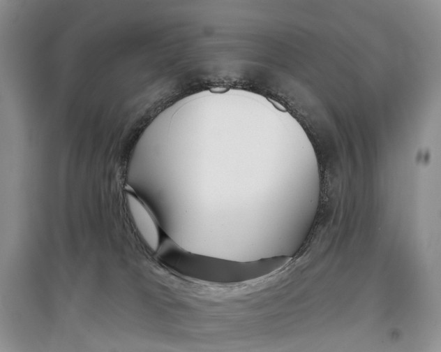 X0000096710037200802261640