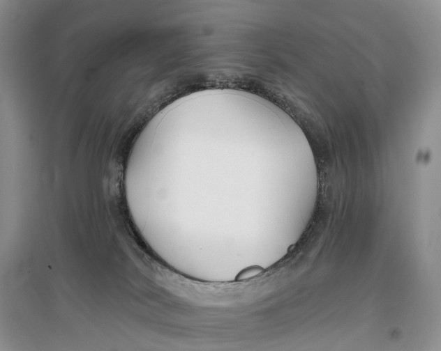 X0000096710038200802261640