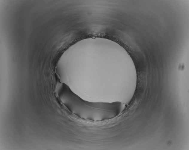 X0000096710039200802261640