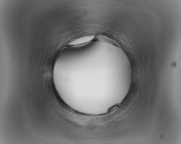 X0000096710040200802261640