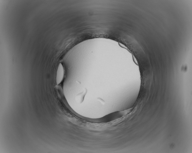 X0000096710041200802261640