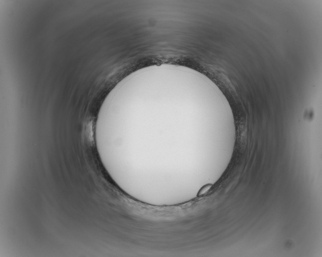 X0000096710042200802261640